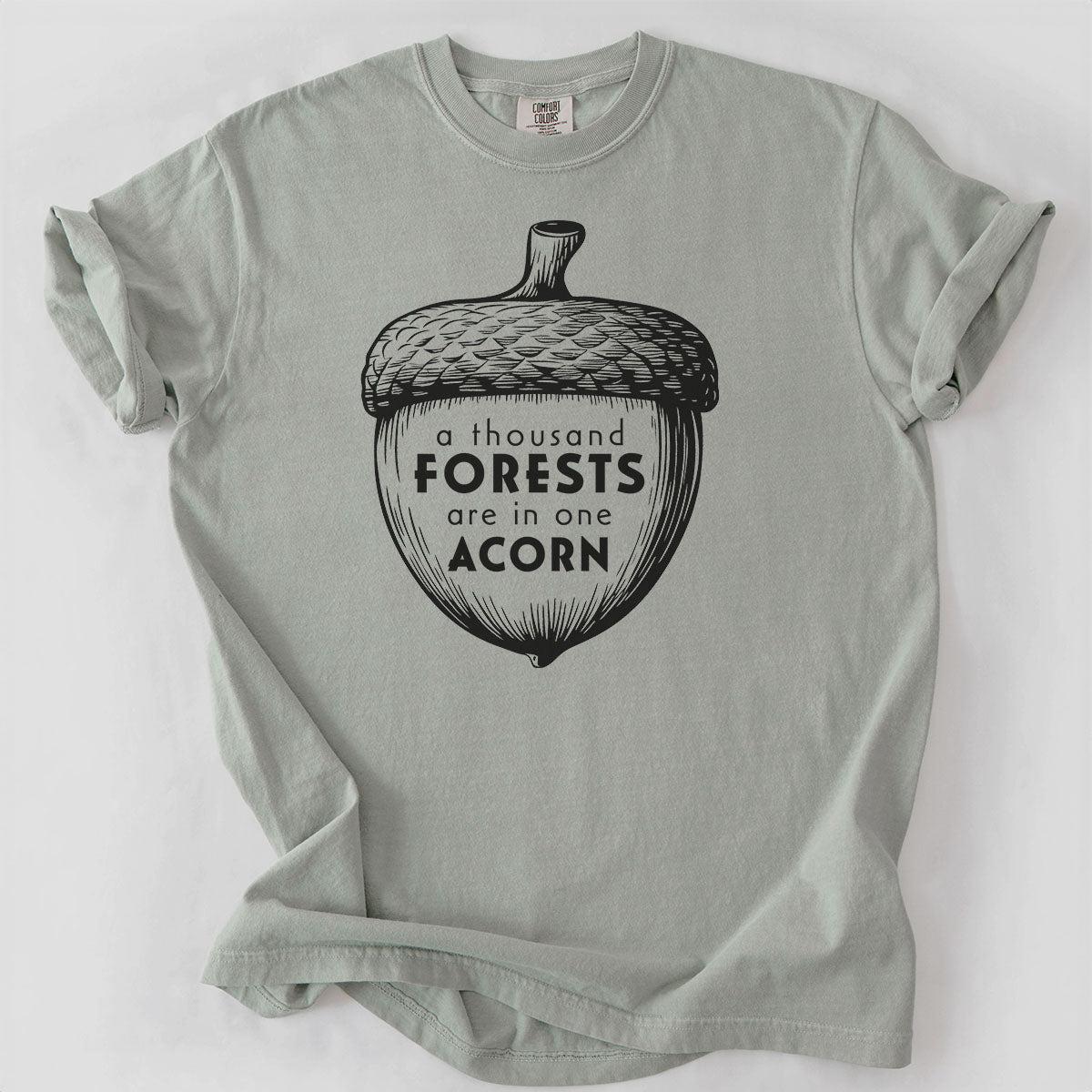A Thousand Forests are in One Acorn