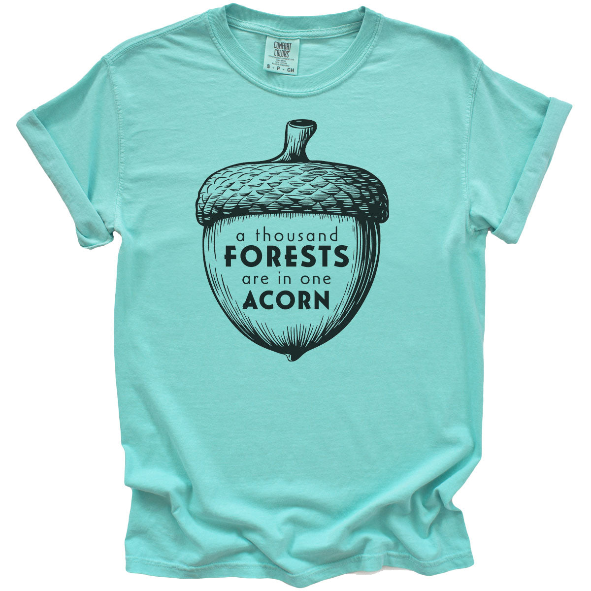 A Thousand Forests are in One Acorn