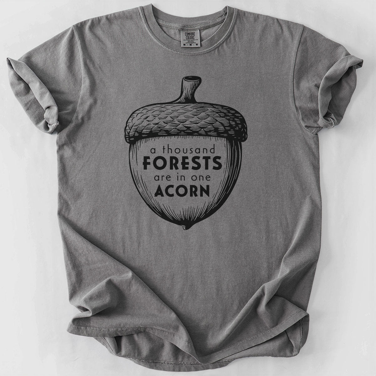 A Thousand Forests are in One Acorn