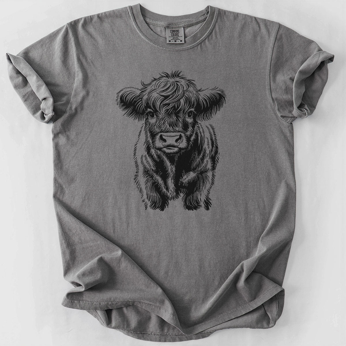 Baby Mini Highland Cow Drawing