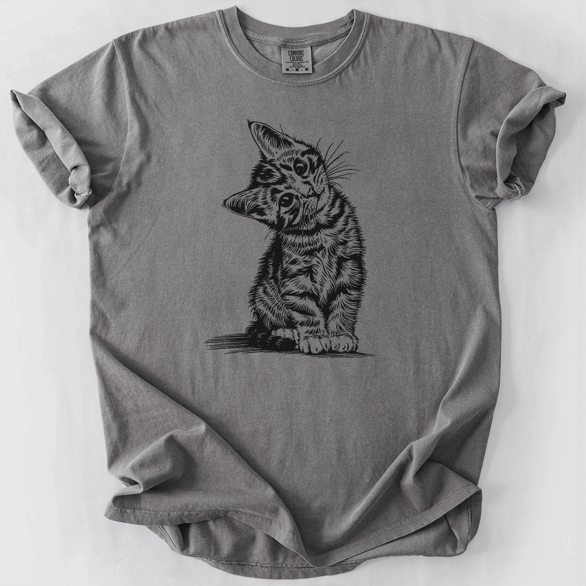 Cute Kitten Tilting Head Drawing