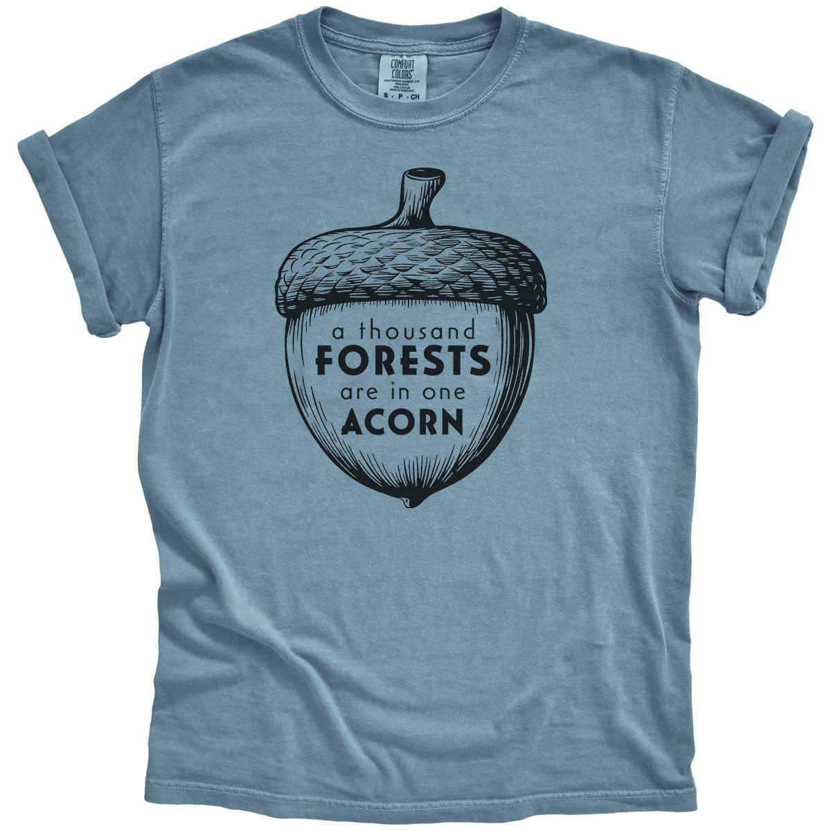 A Thousand Forests are in One Acorn