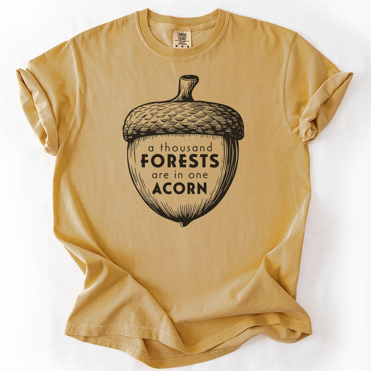 A Thousand Forests are in One Acorn