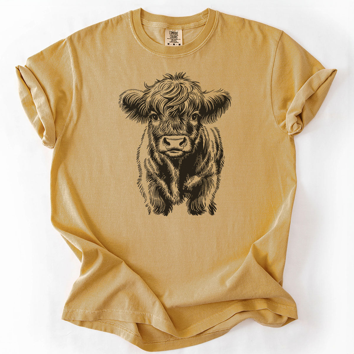 Baby Mini Highland Cow Drawing