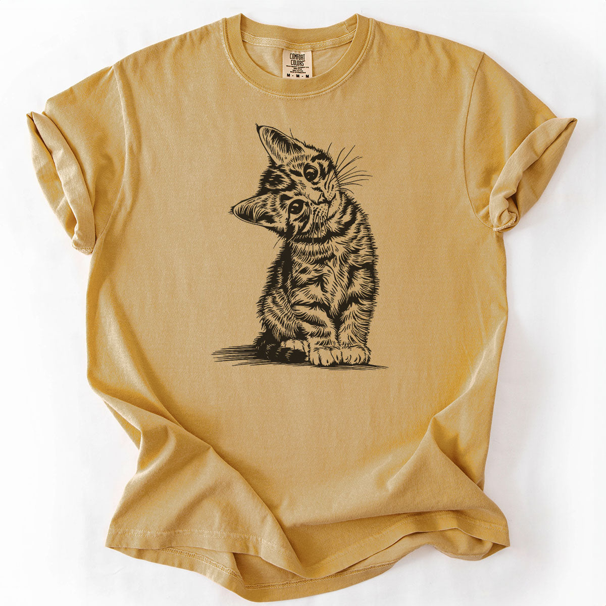 Cute Kitten Tilting Head Drawing