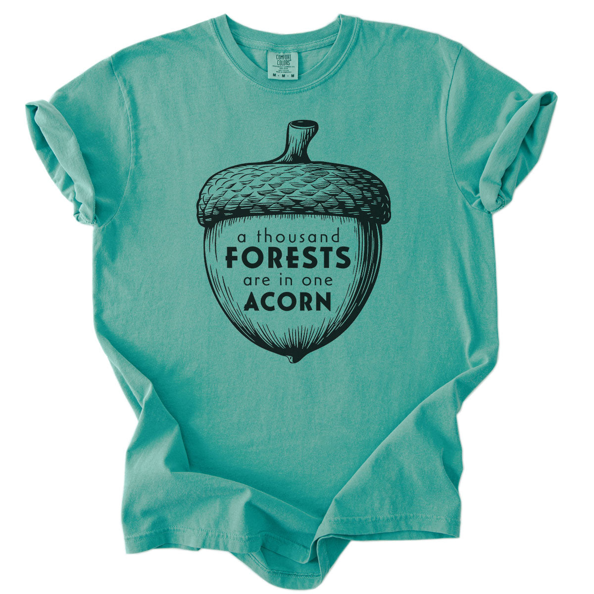 A Thousand Forests are in One Acorn