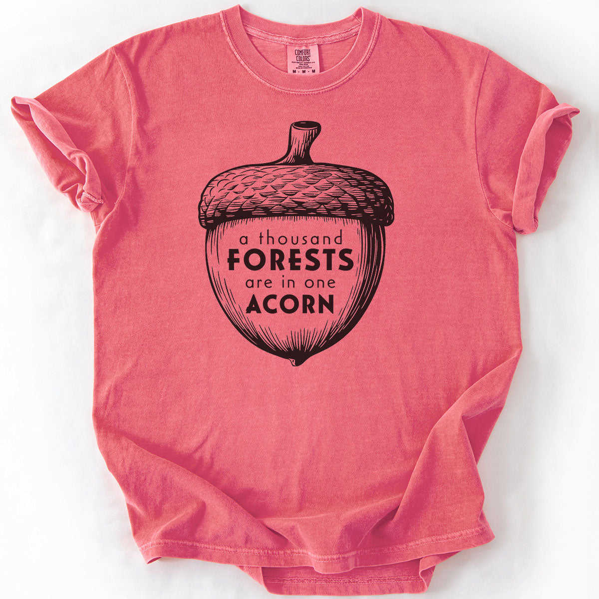 A Thousand Forests are in One Acorn