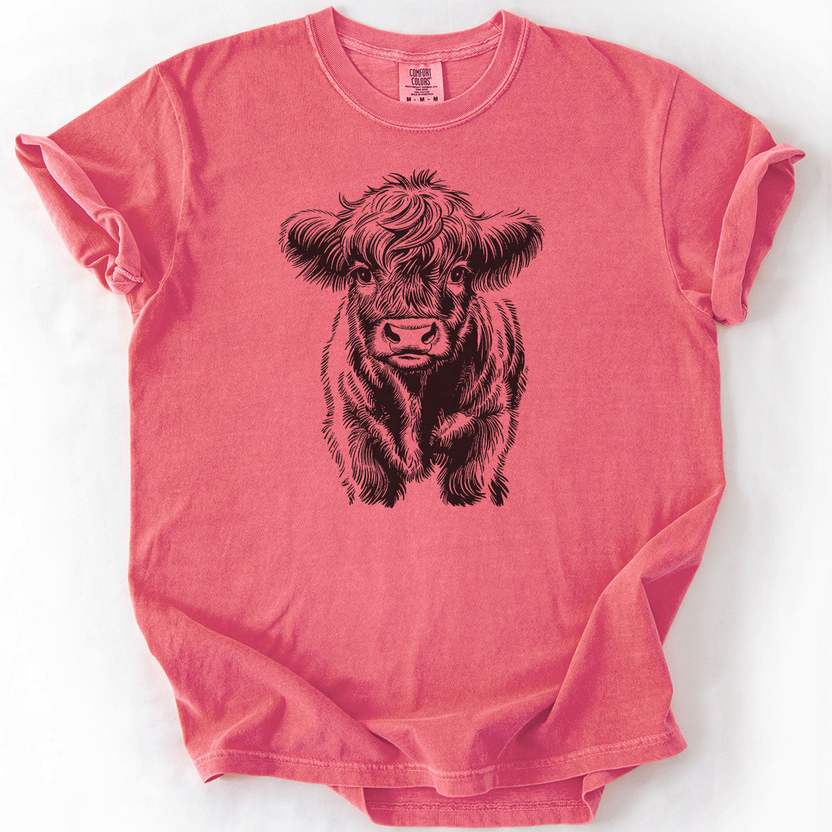 Baby Mini Highland Cow Drawing