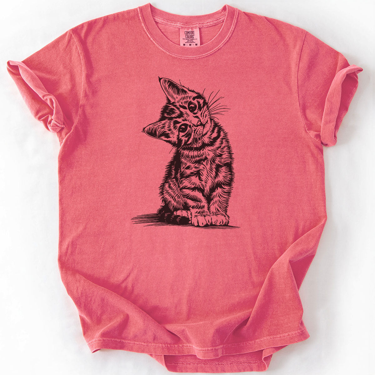 Cute Kitten Tilting Head Drawing