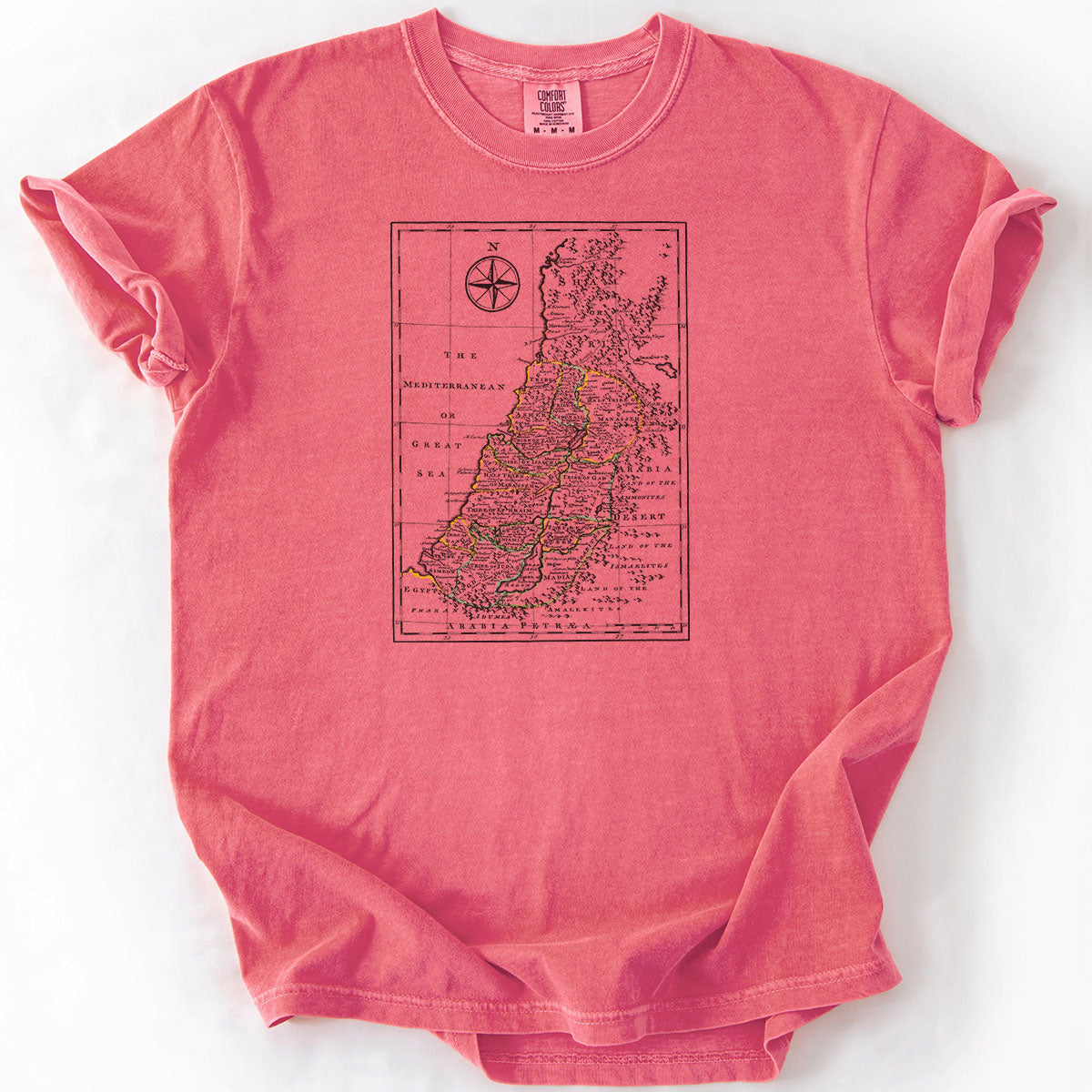 Map of the Promised Land - Antique Israel Map