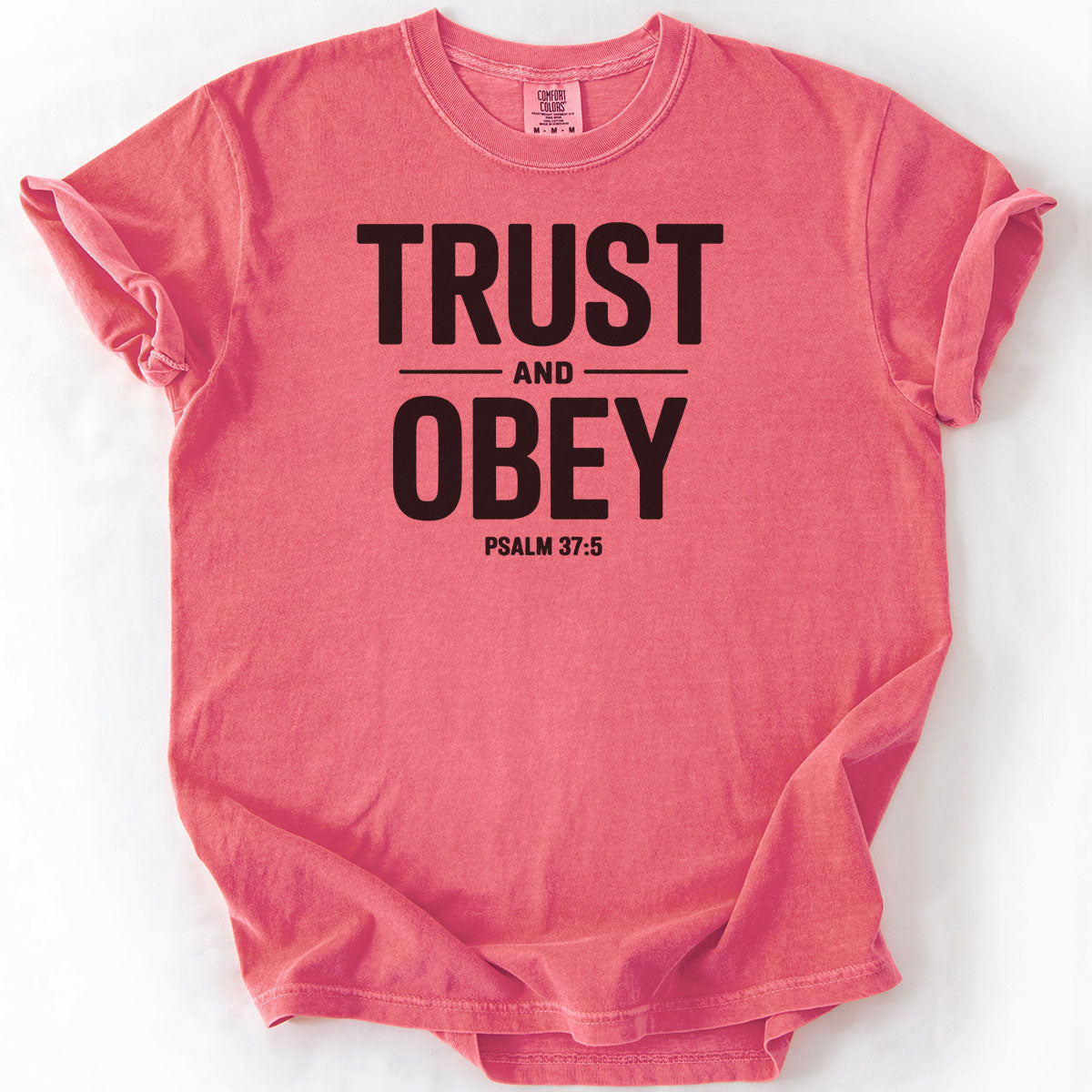Trust and Obey