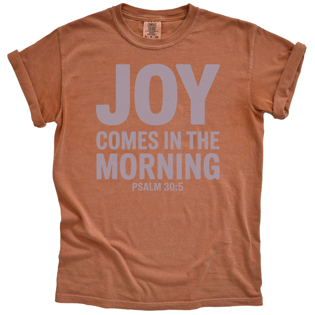 Joy Comes in the Morning