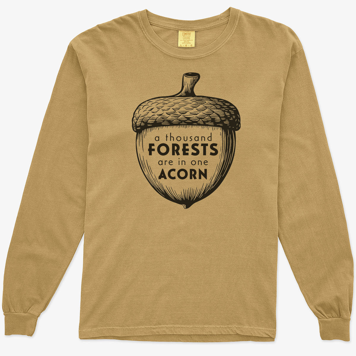 A Thousand Forests are in One Acorn