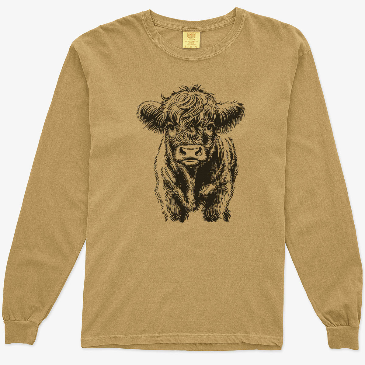 Baby Mini Highland Cow Drawing