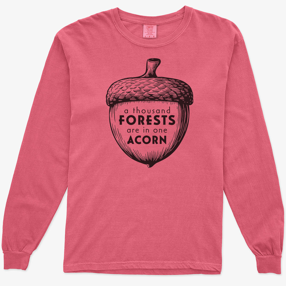 A Thousand Forests are in One Acorn