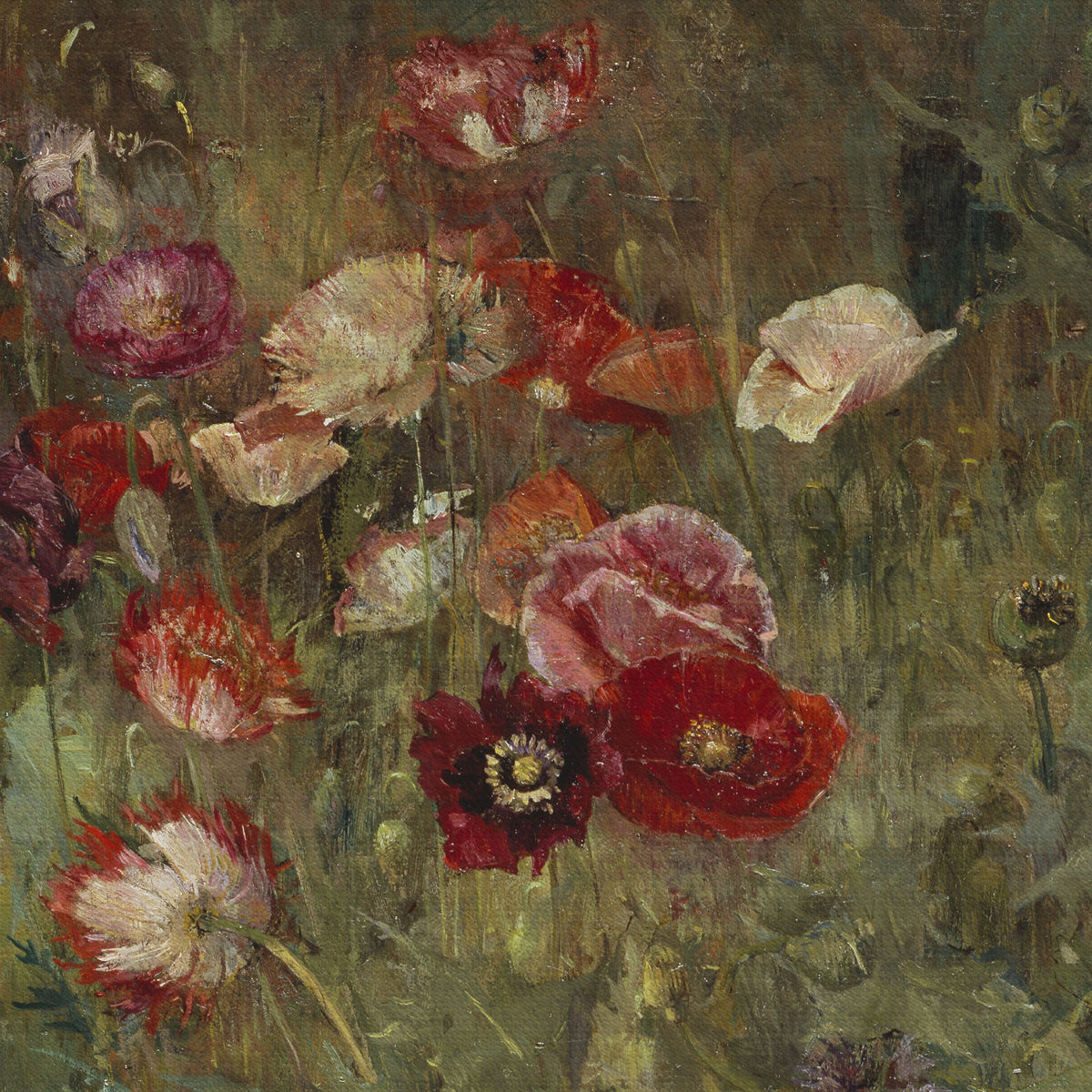 Vintage Floral Red Poppy Painting