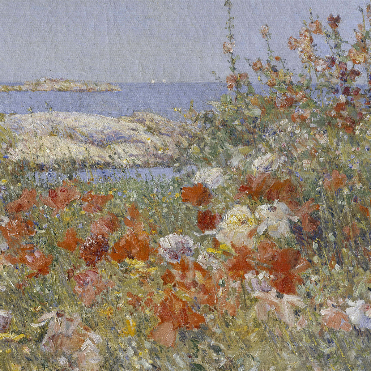 Vintage Coastal Wildflower Meadow