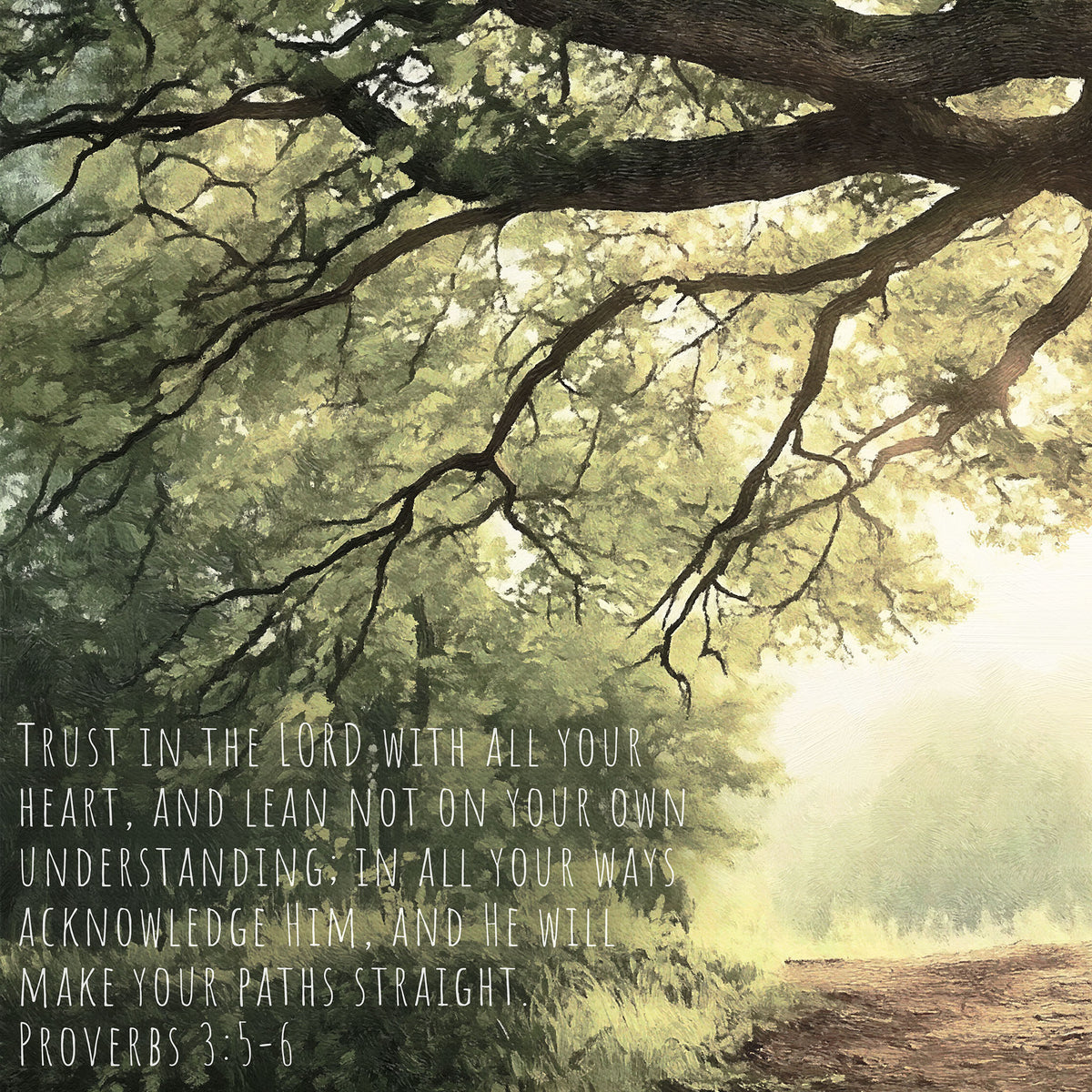 Large Oak Tree Path - Trust in the Lord - Proverbs 3:5-6