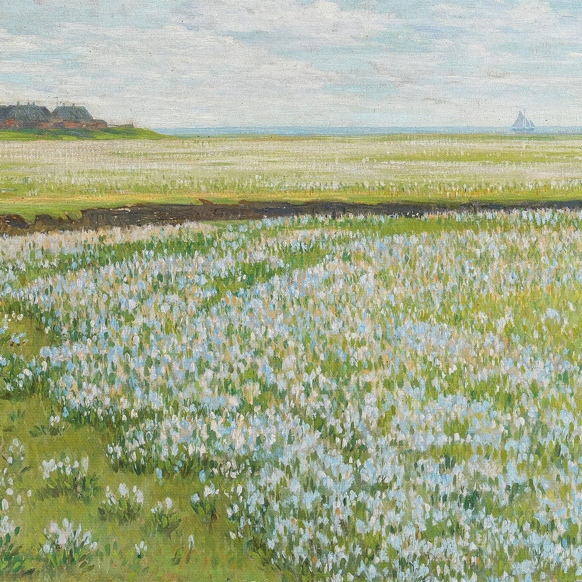 Coastal White and Blue Flower Field
