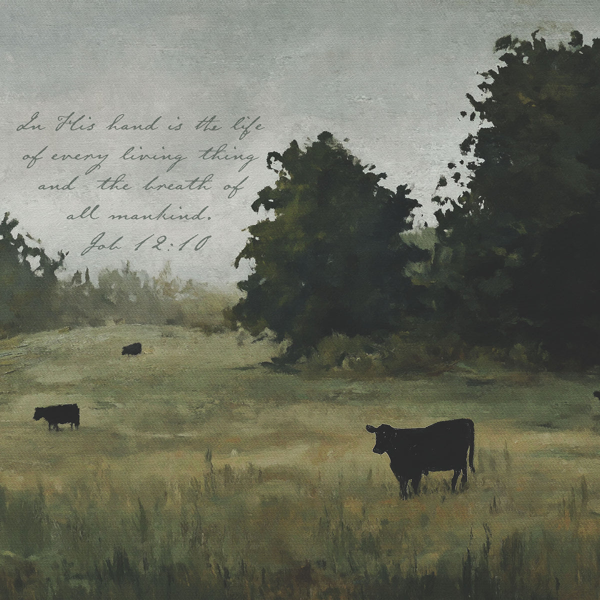 Pasture with Grazing Cattle - In His Hand is the Life of Every Living Thing