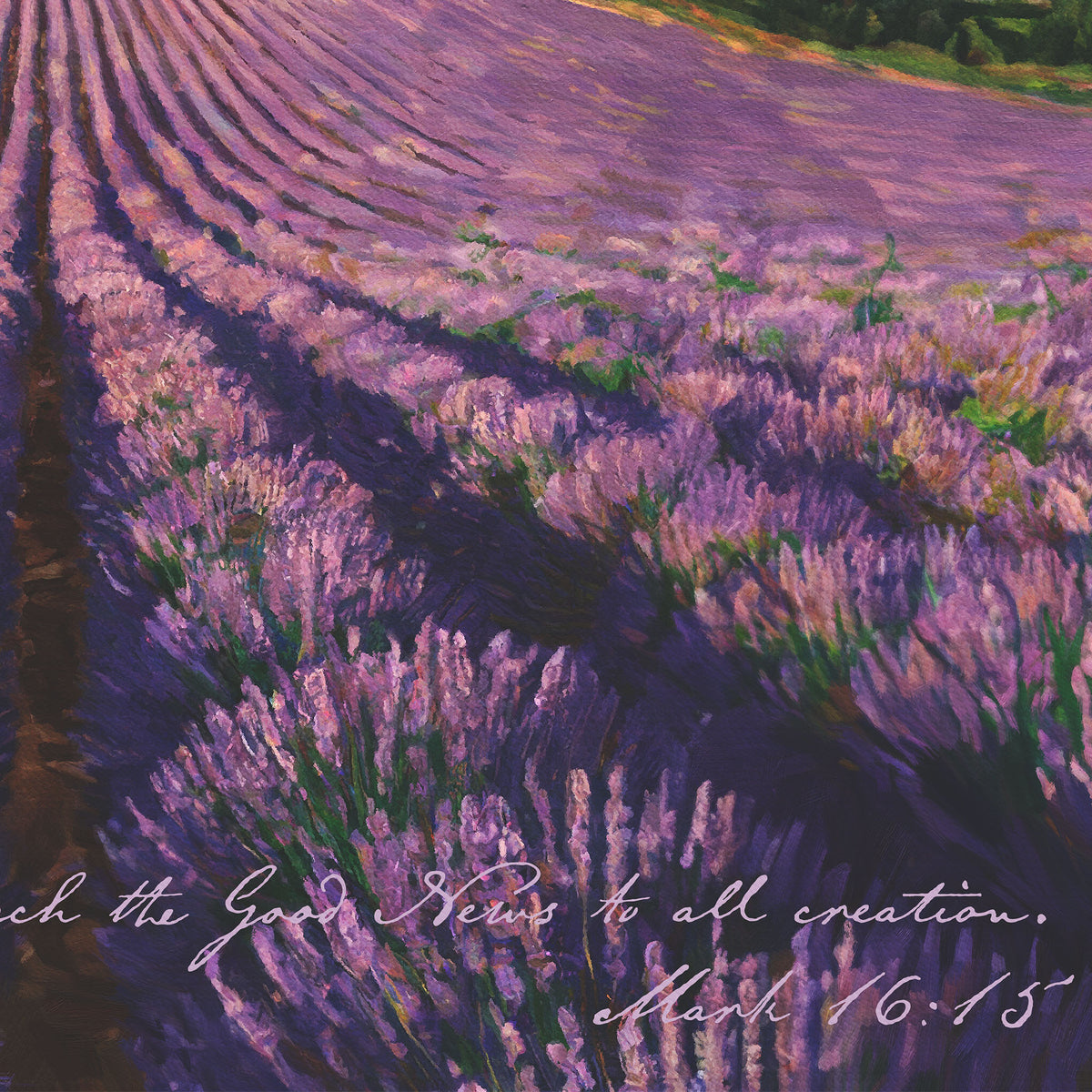French Lavender Fields - Preach the Good News to All Creation