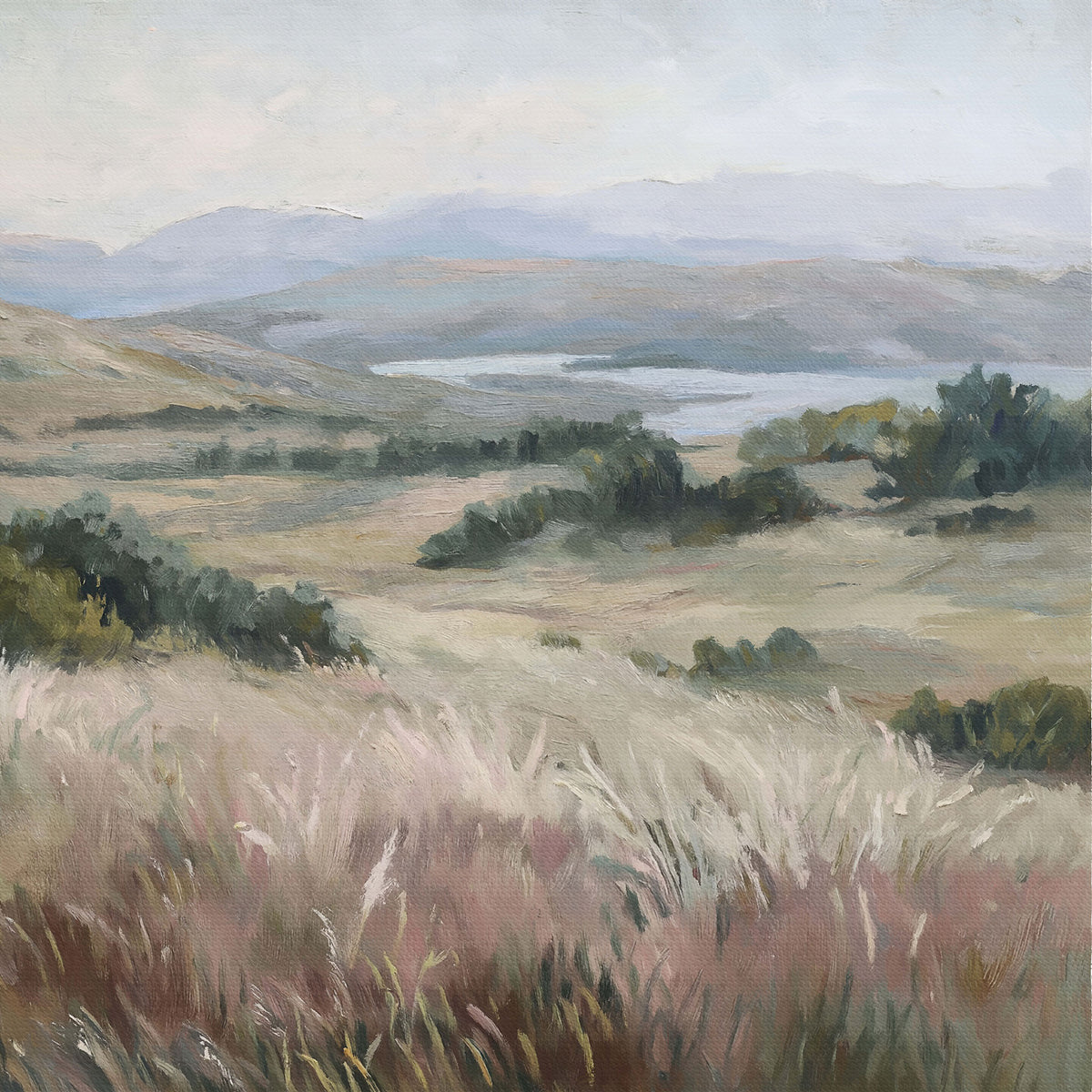 Muted Grassy Hills Landscape