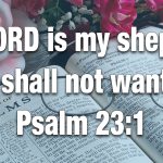 Psalm 23:1