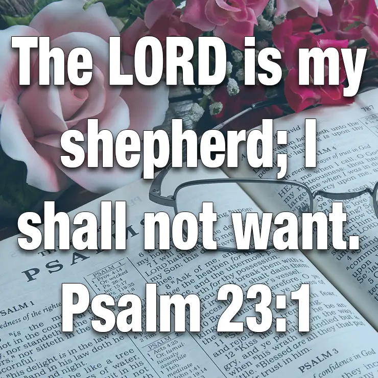 Psalm 23:1